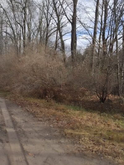 Woodridge O&W Trailhead A - Woodridge, NY