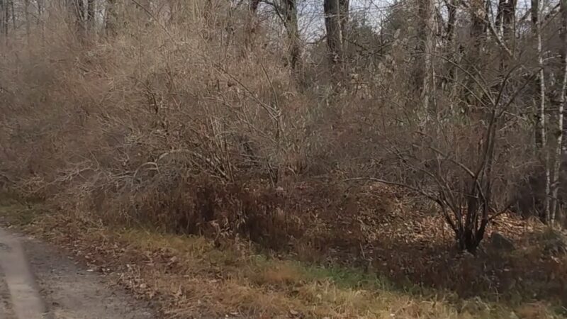 Woodridge O&W Trailhead A - Woodridge, NY