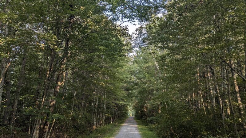 Woodridge O&W Trailhead A - Woodridge, NY