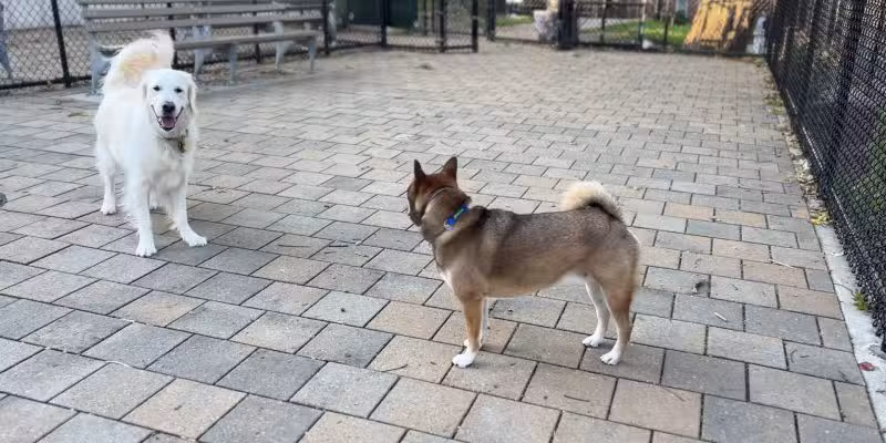 Doughboy Plaza Dog Run - Woodside, NY