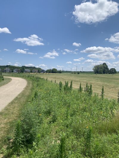 Red Park - Woodstock, IL