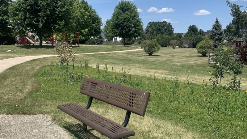Red Park - Woodstock, IL