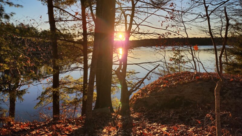 DeWick Farm - Woolwich, ME
