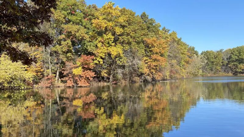Burncoat Park - Worcester, MA