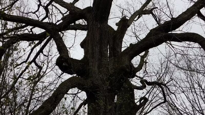 Burncoat Park - Worcester, MA