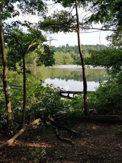 Burncoat Park - Worcester, MA