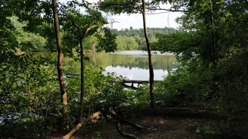 Burncoat Park - Worcester, MA