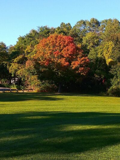 Wetherell Park - Worcester, MA