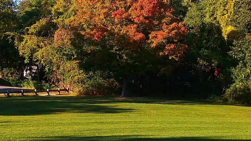 Wetherell Park - Worcester, MA