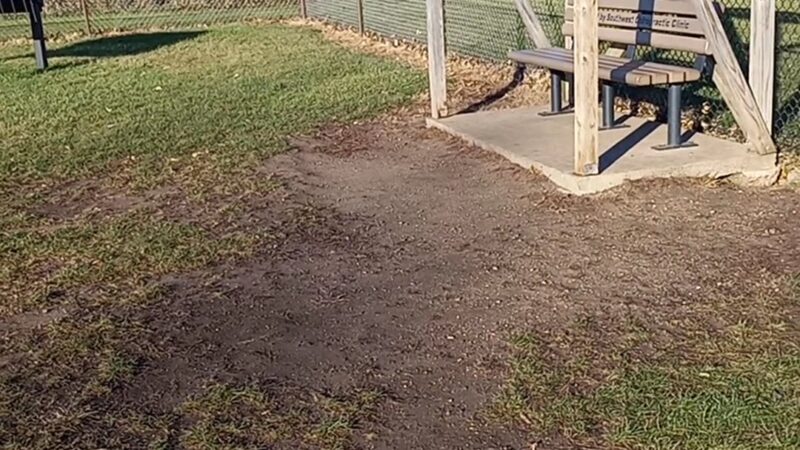 Puppy Park - Worthington, MN