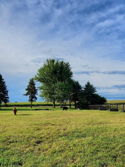 Puppy Park - Worthington, MN