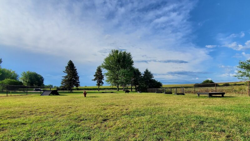Puppy Park - Worthington, MN