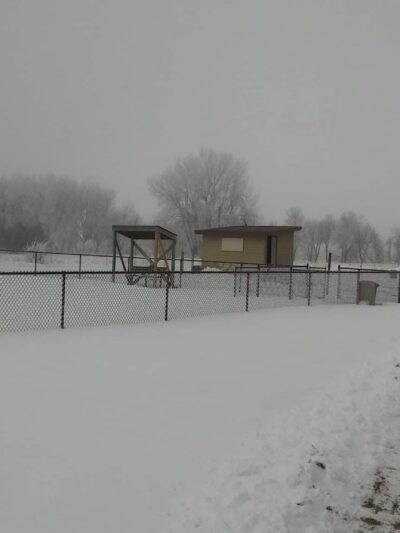 Puppy Park - Worthington, MN