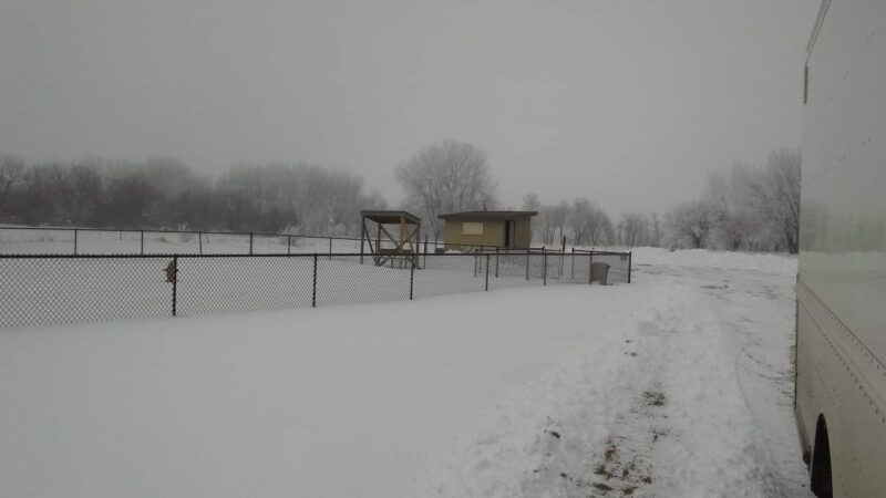 Puppy Park - Worthington, MN
