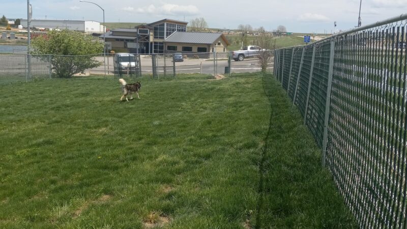 Wright Rest Area Dog Park - Wright, WY