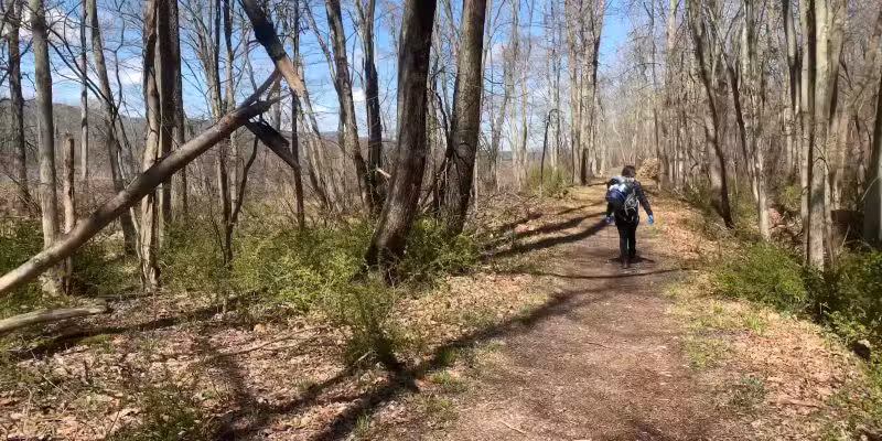 Bashakill Wildlife Management Area - Wurtsboro, NY