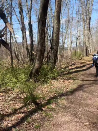 Bashakill Wildlife Management Area - Wurtsboro, NY