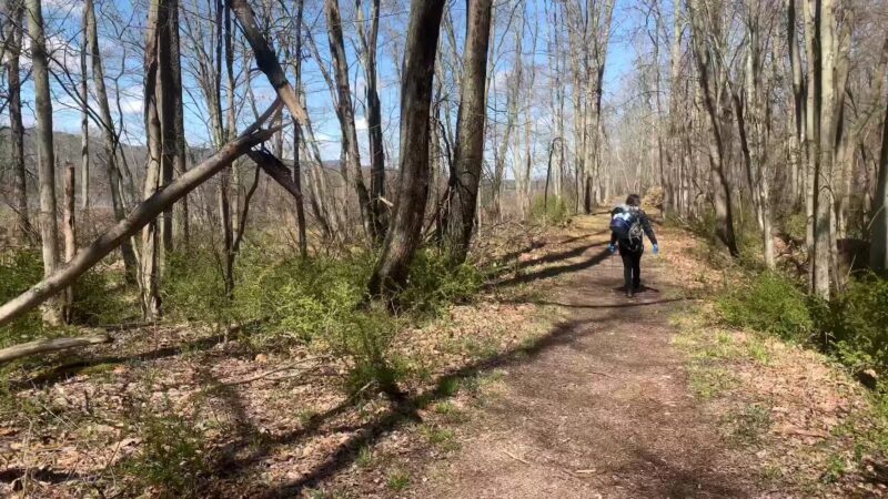 Bashakill Wildlife Management Area - Wurtsboro, NY