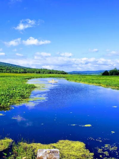 Bashakill Wildlife Management Area - Wurtsboro, NY