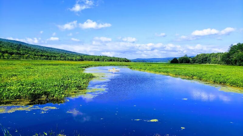 Bashakill Wildlife Management Area - Wurtsboro, NY