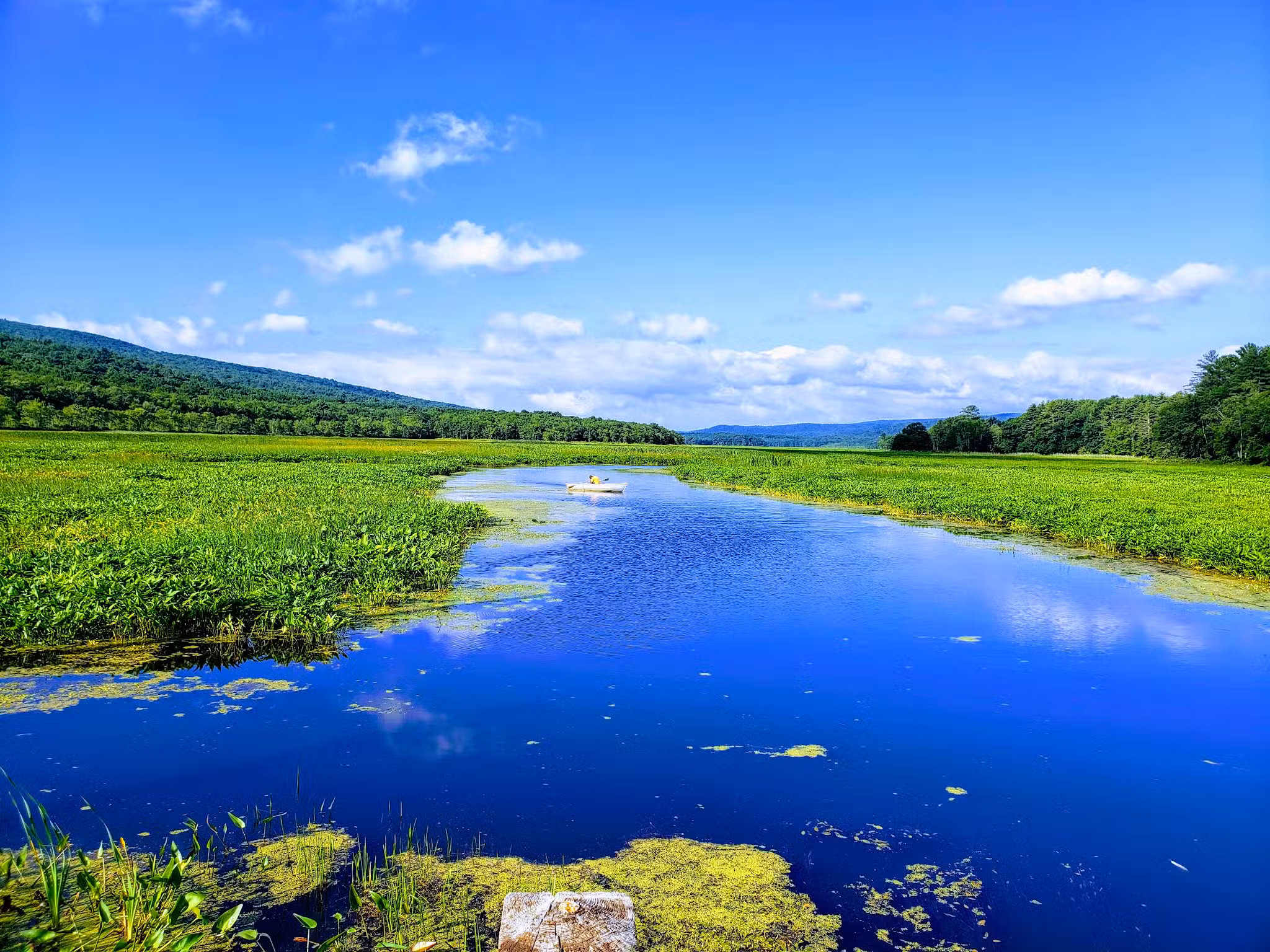 Bashakill Wildlife Management Area - Wurtsboro, NY
