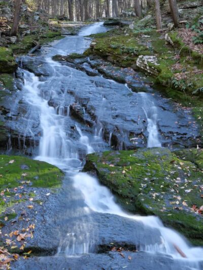 Bashakill Wildlife Management Area - Wurtsboro, NY