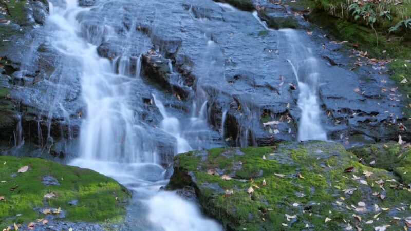 Bashakill Wildlife Management Area - Wurtsboro, NY