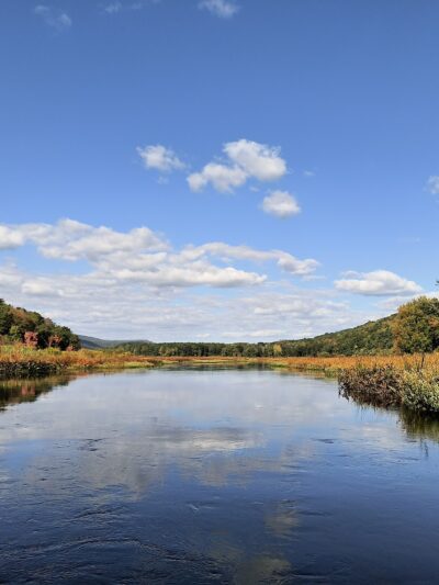 Bashakill Wildlife Management Area - Wurtsboro, NY