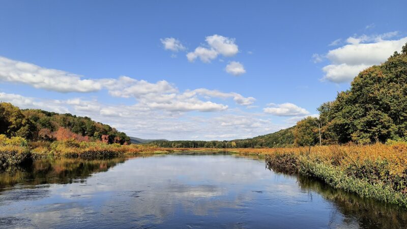 Bashakill Wildlife Management Area - Wurtsboro, NY