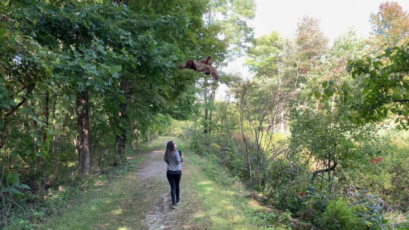 D&H canal - Wurtsboro, NY