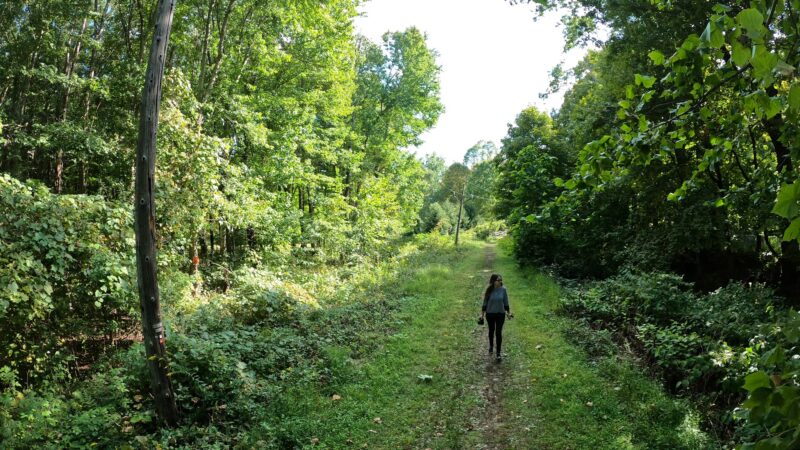 D&H canal - Wurtsboro, NY