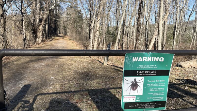 D&H Linear Park - Wurtsboro, NY