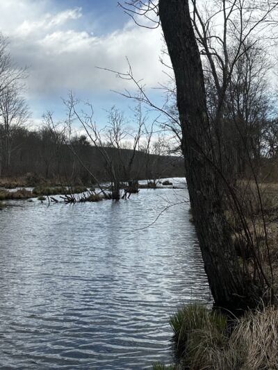 D&H Linear Park - Wurtsboro, NY