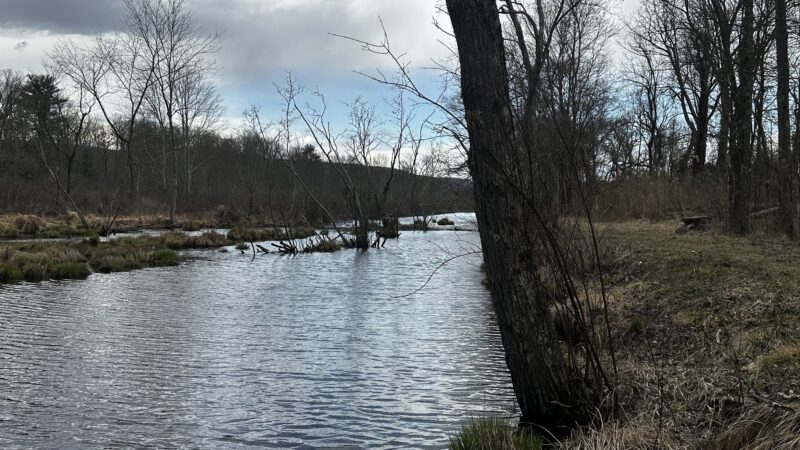 D&H Linear Park - Wurtsboro, NY