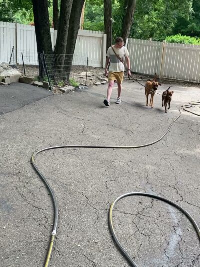 Dog Obedience Group - Boarding, Training, Daycare - Wurtsboro, NY