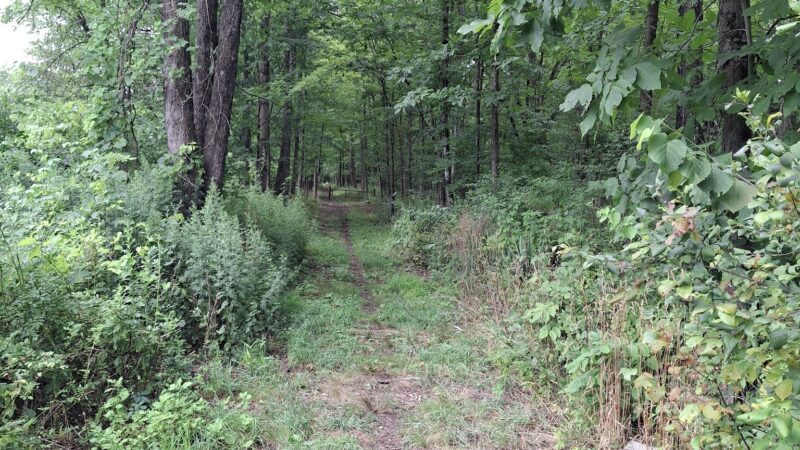 Wurtsboro O&W Trailhead A - Wurtsboro, NY