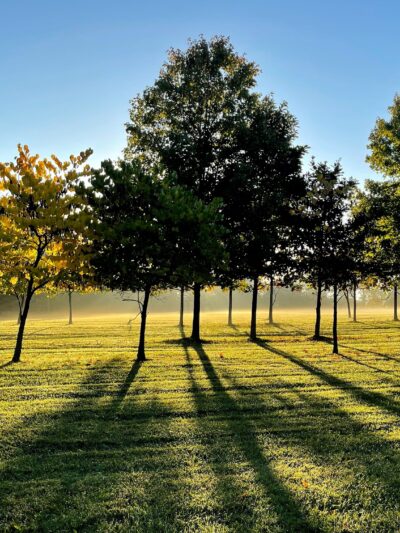 Russell Farms Community Park - Wyckoff, NJ