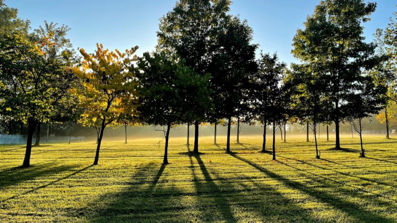 Russell Farms Community Park - Wyckoff, NJ