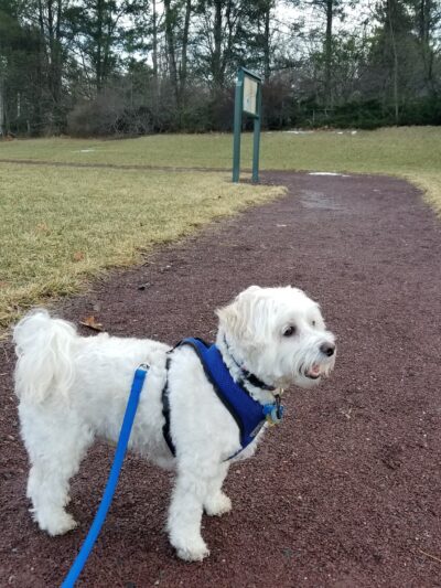 Russell Farms Community Park - Wyckoff, NJ