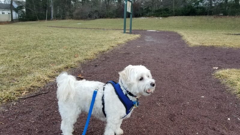 Russell Farms Community Park - Wyckoff, NJ