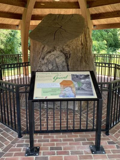 Wye Oak State Park - Wye Mills, MD