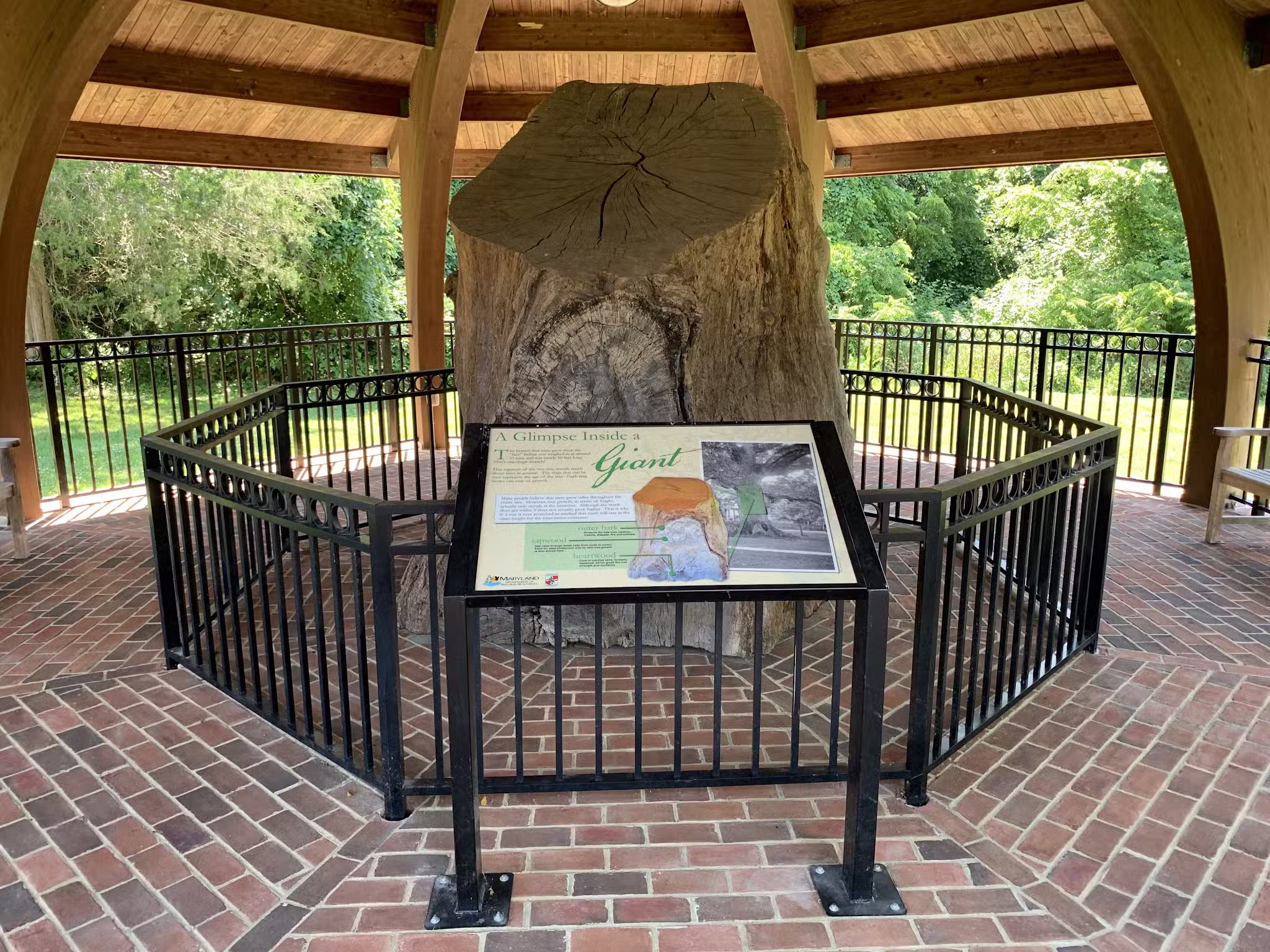 Wye Oak State Park - Wye Mills, MD