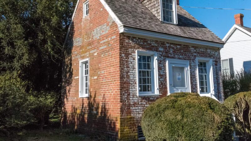 Wye Oak State Park - Wye Mills, MD