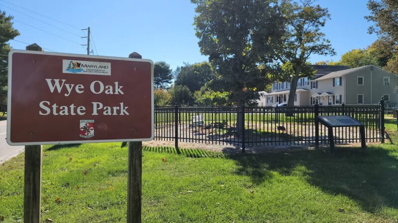 Wye Oak State Park - Wye Mills, MD