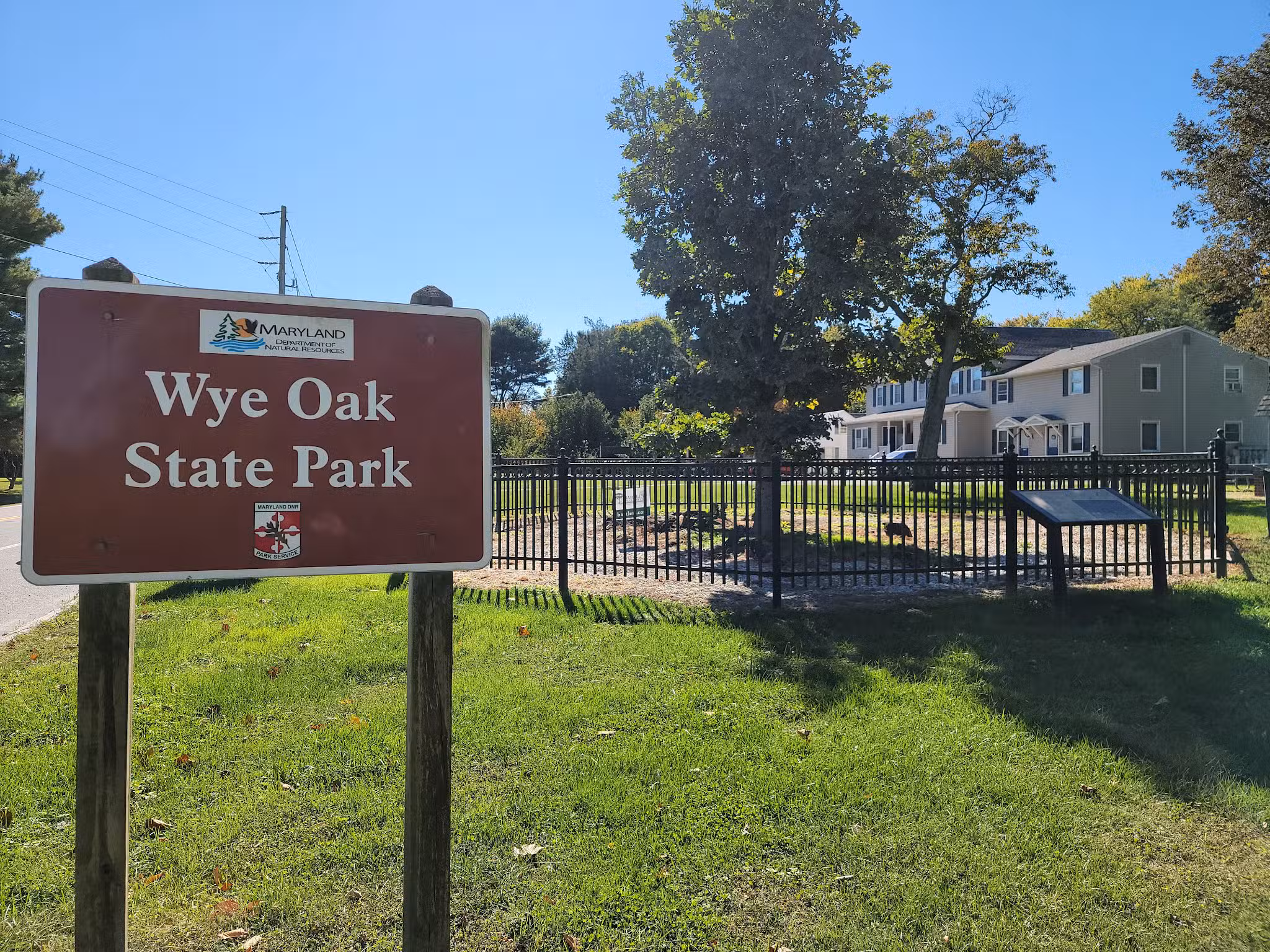 Wye Oak State Park - Wye Mills, MD