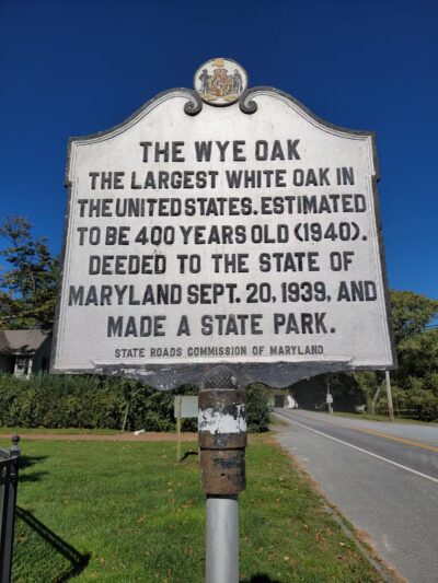 Wye Oak State Park - Wye Mills, MD