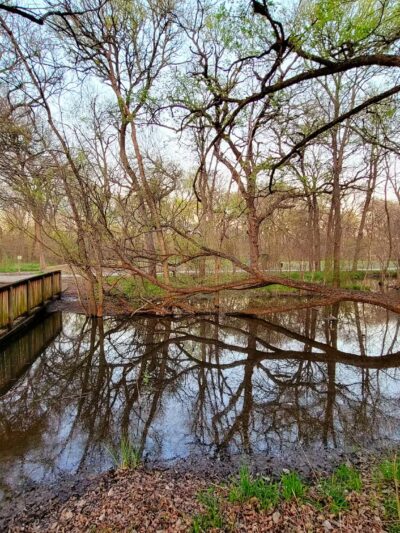 Creek Crossing Park - Wylie, TX
