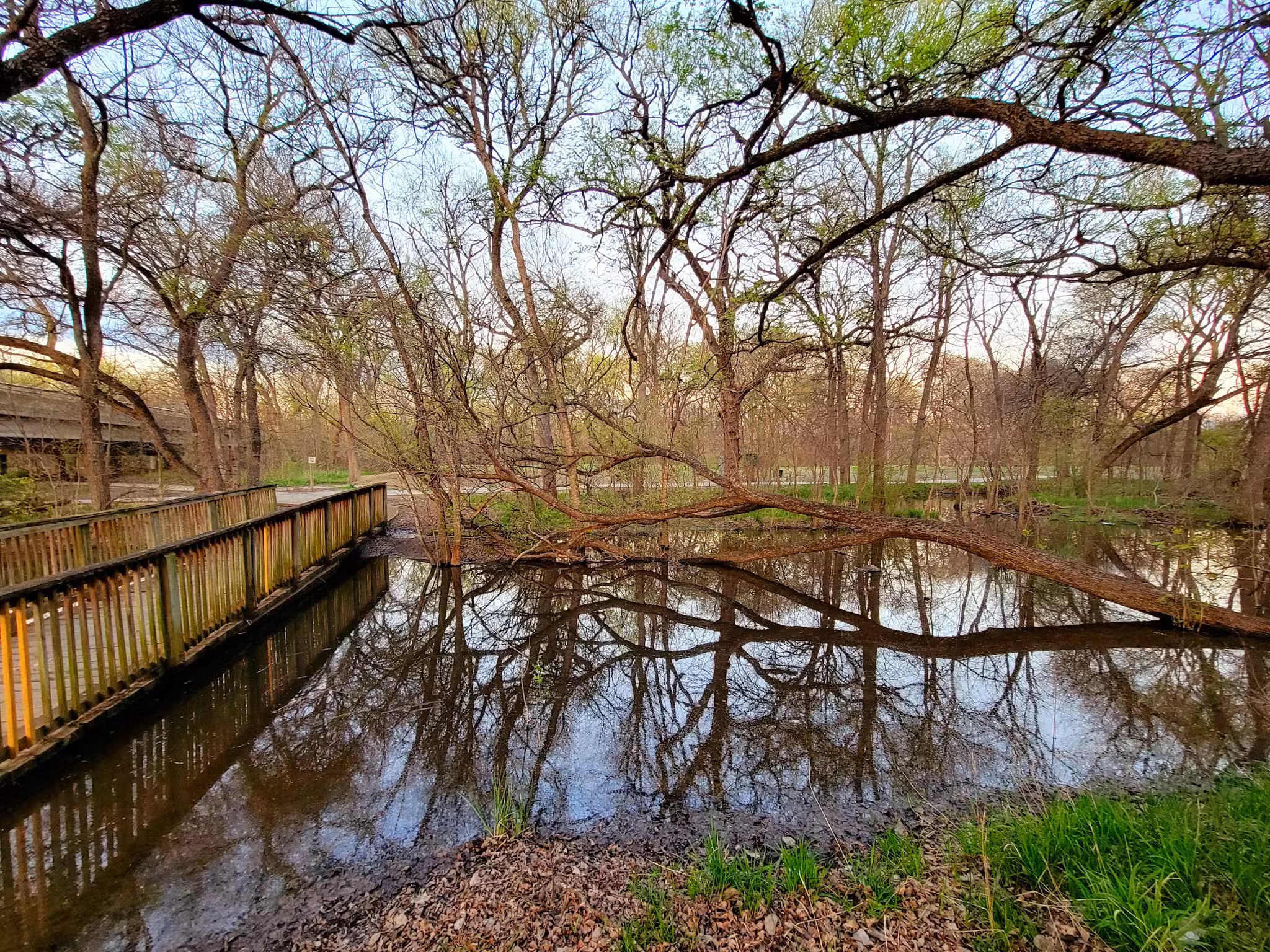 Creek Crossing Park - Wylie, TX