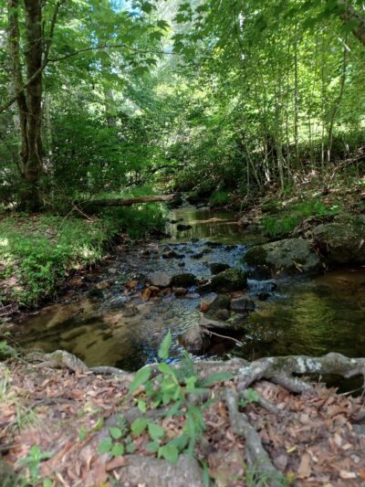 Crystal Springs Recreation Area - Wytheville, VA
