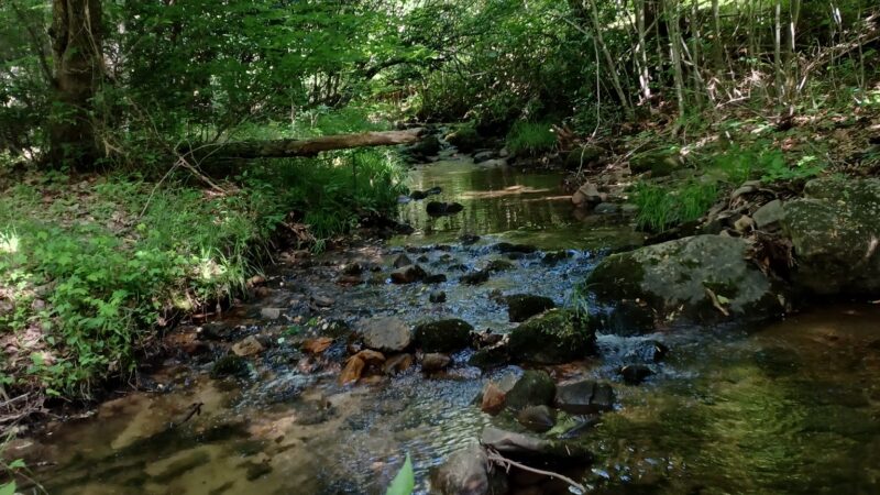 Crystal Springs Recreation Area - Wytheville, VA